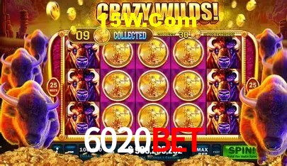 6020Bet Salvador - Football