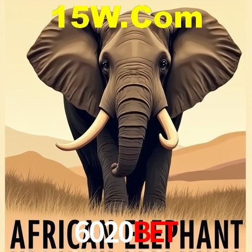 6020Bet São Paulo - Jogo Coleção